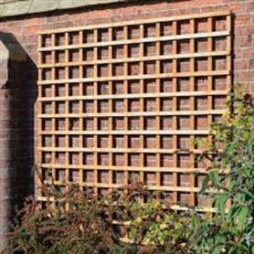 Trellis